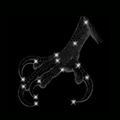 Grand-Constellation.jpg